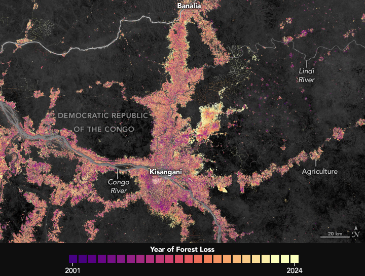 Forest-loss satellite source image used by Reforest Radar